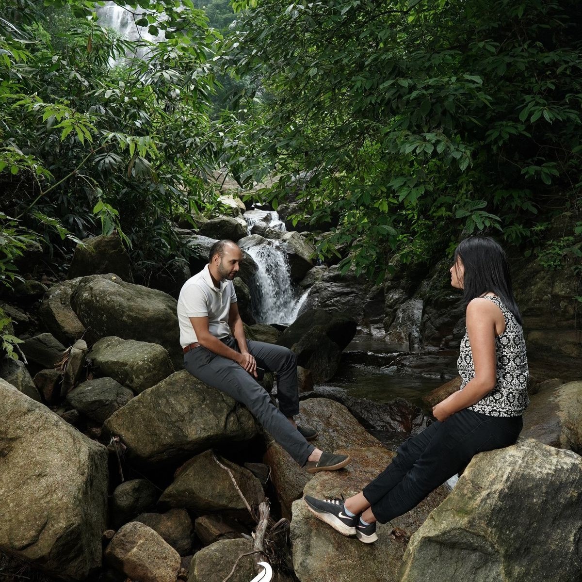 Guided Plantation & Medicinal Walks